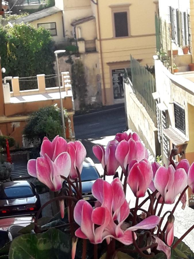 San Pietro Leisure And Luxury Hotel Rome Bagian luar foto